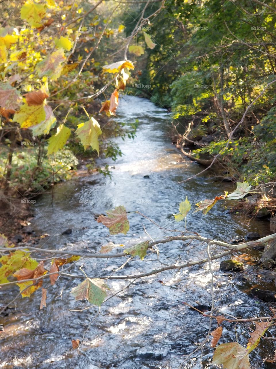 fall river scene