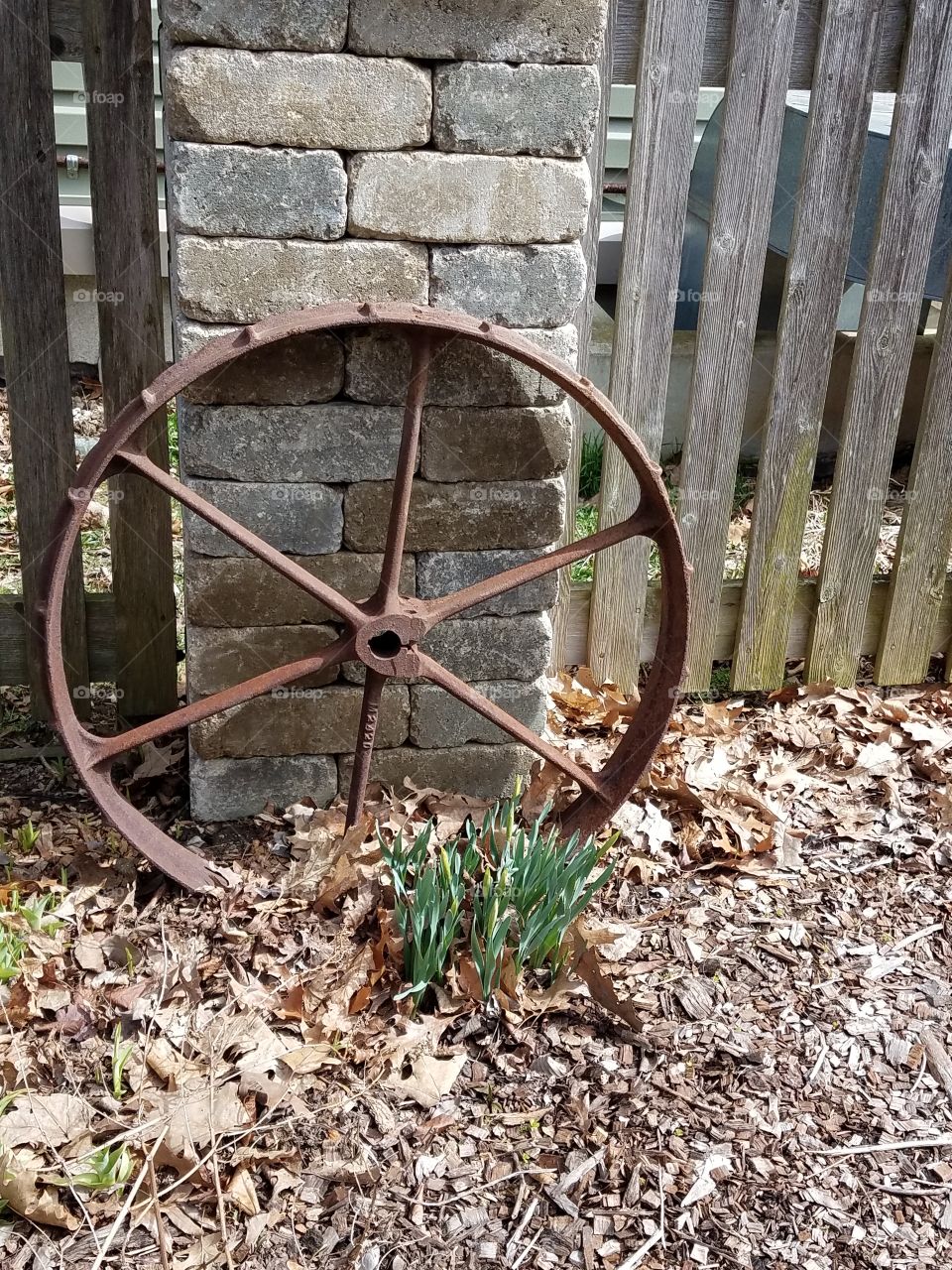 Rusty metal wheel leaning on wall