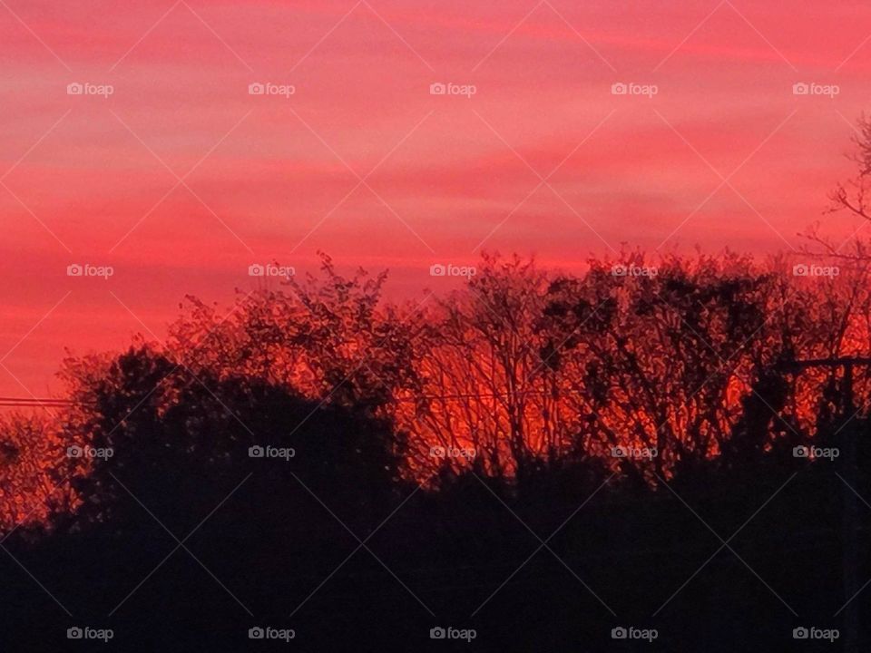 red sunset with trees