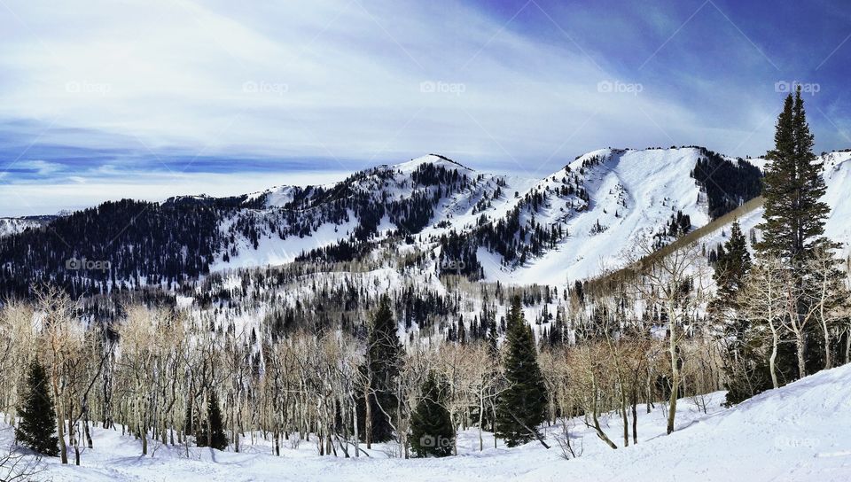 Wild Mountains of Utah