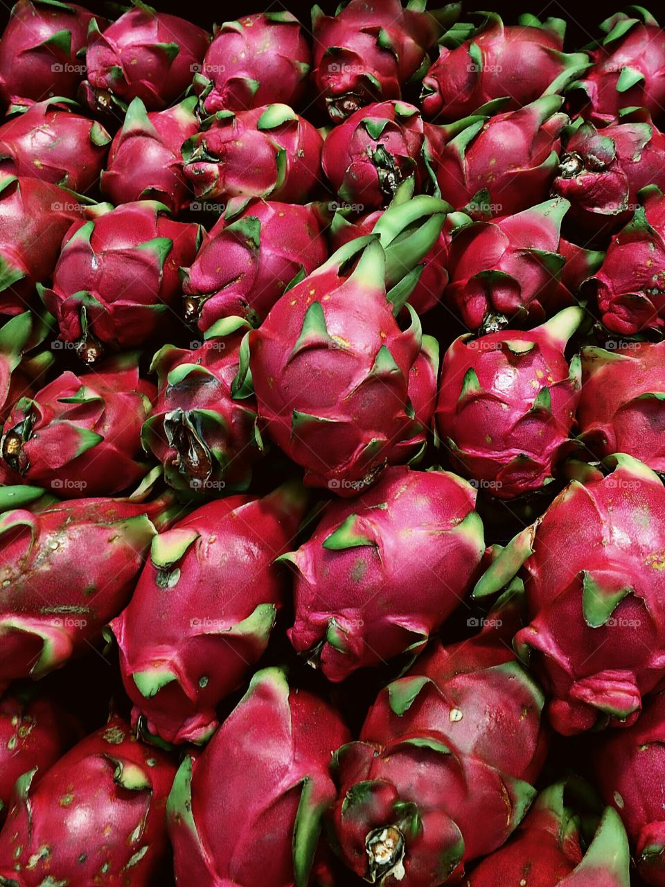 dragon fruit