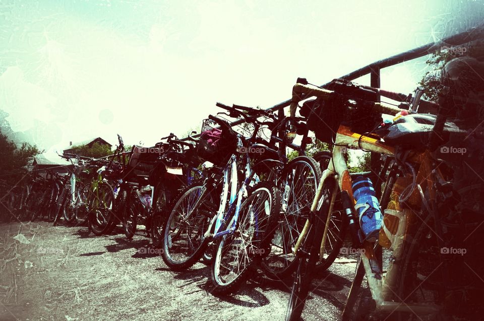 Sport. Bikes Lined up Along the River