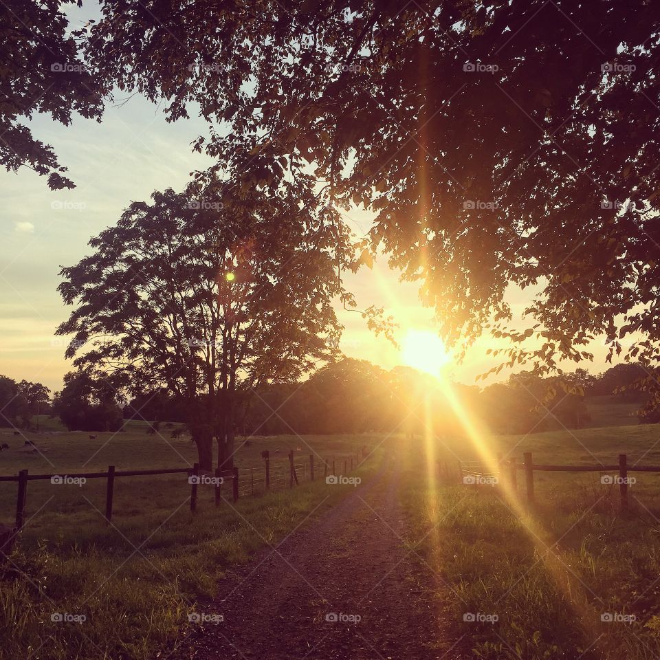 A nice, relaxing sunset run. 