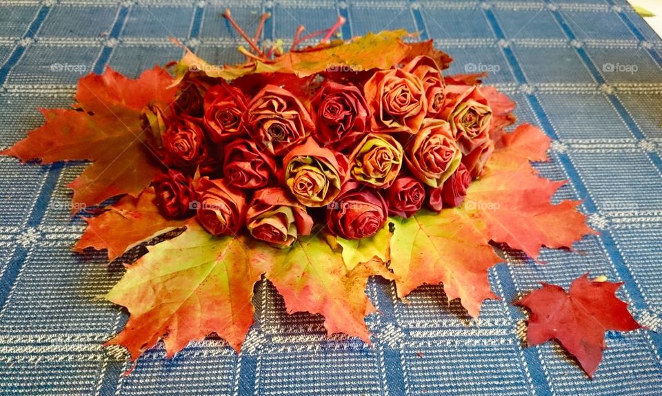 Roses made of mapleleaves