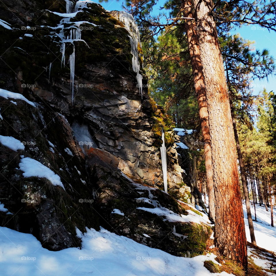 Long icicles hang from a rock formation in Central Oregon and are both brightly and dimly lit. 