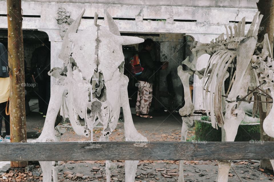 What remains after the 2010 Merapi Eruption