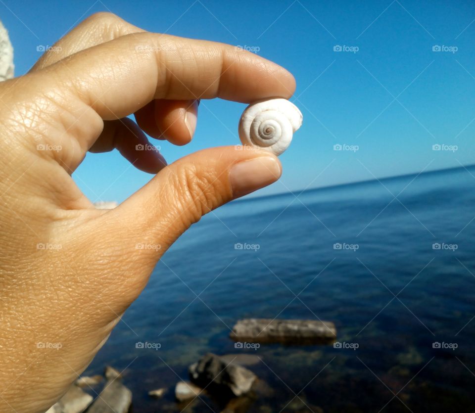 Hand, Beach, Water, Ocean, Sea