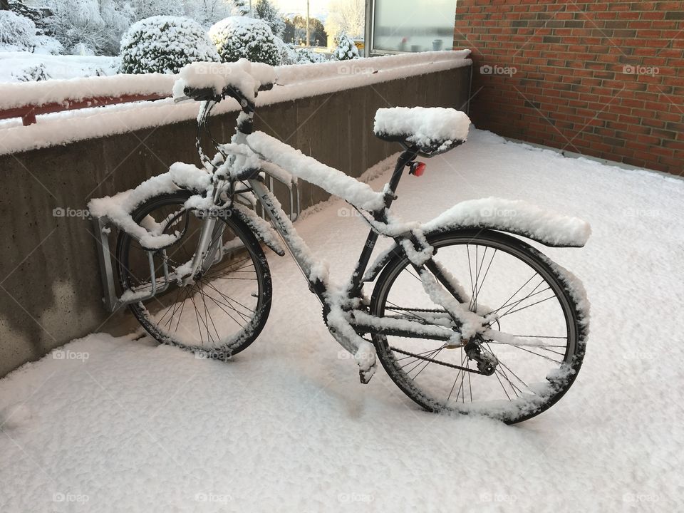 Winter bicycle 