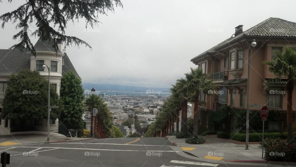 San Francisco park view