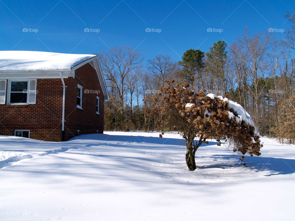 Shed in the snow 