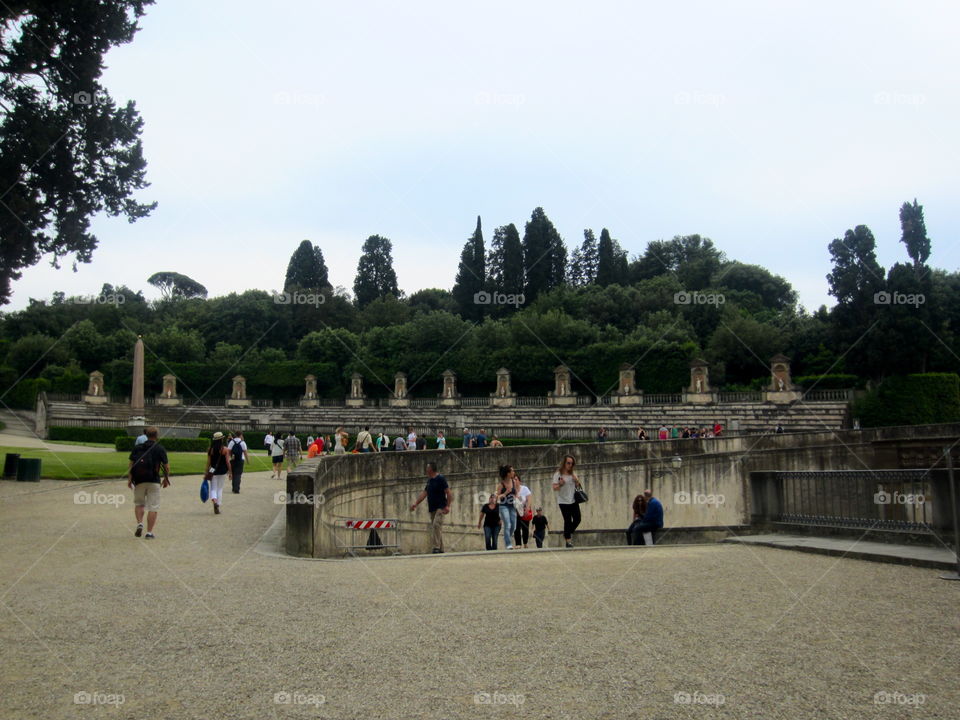 Tree, Park, Daylight, People, City