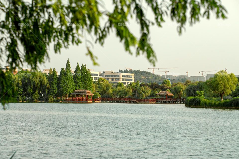 A view of lake surrounded and protected by greenery.