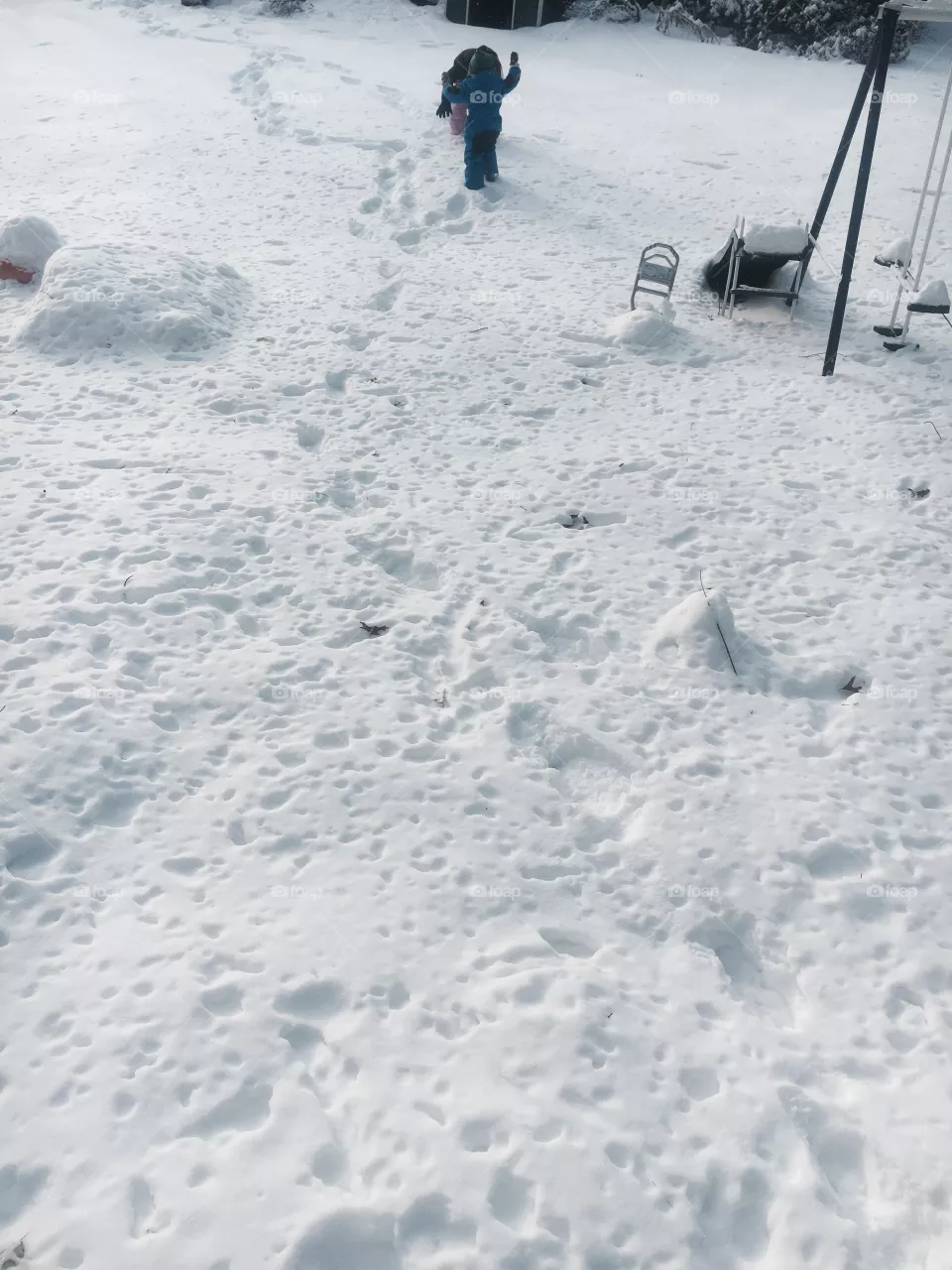 Snow 