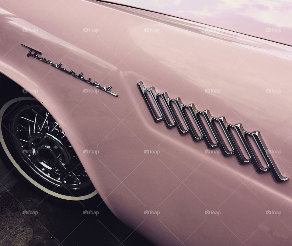 Pink thunderbird 