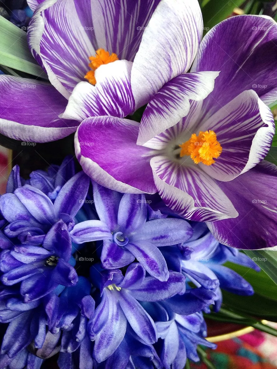 Flowers