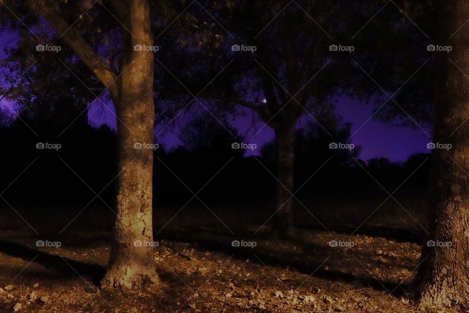 Low detail high emotion 