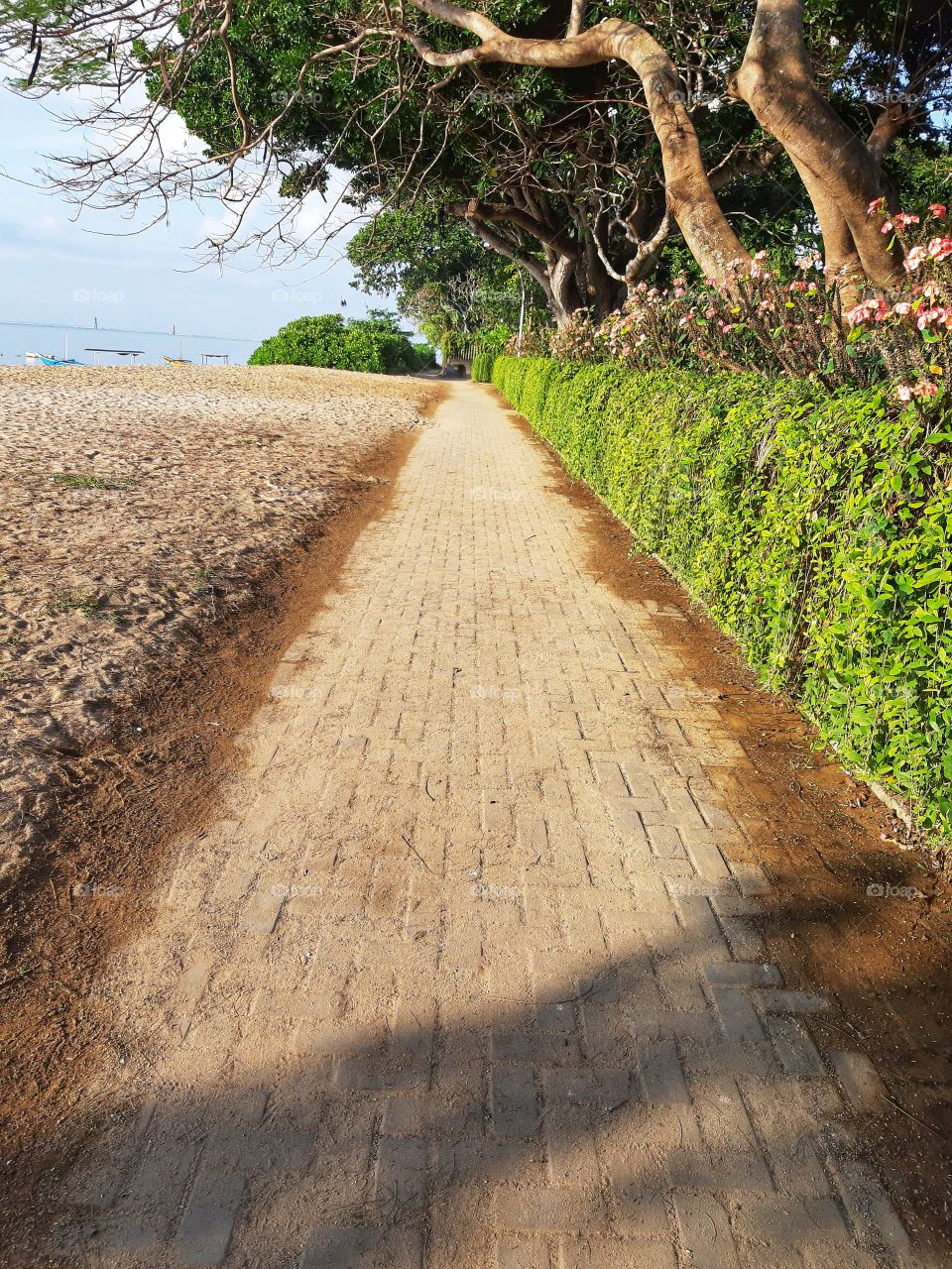 A silent sidewalk at the beach