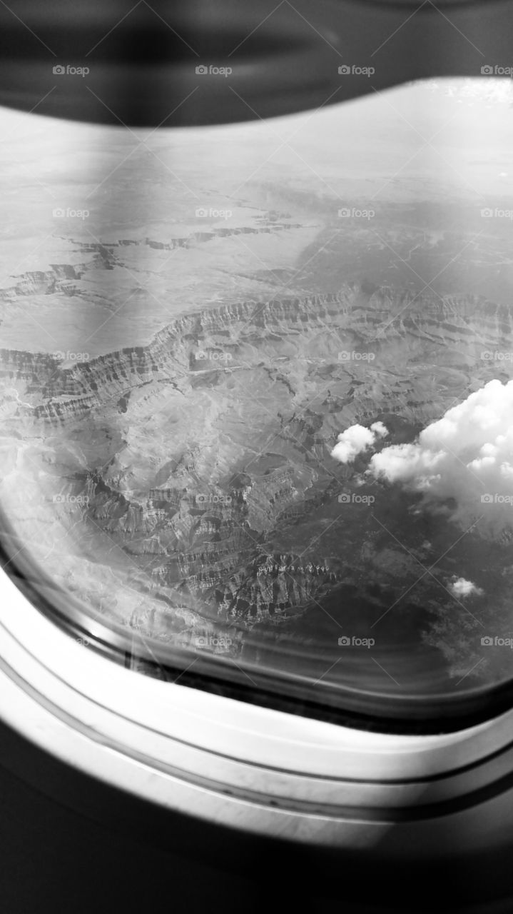 Color in a world where color isn’t always there. 