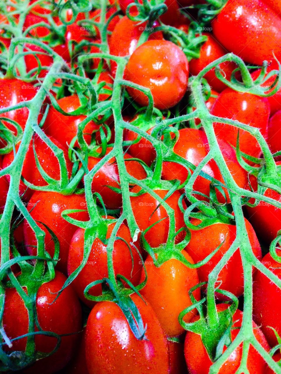 Plum tomatoes on the vine