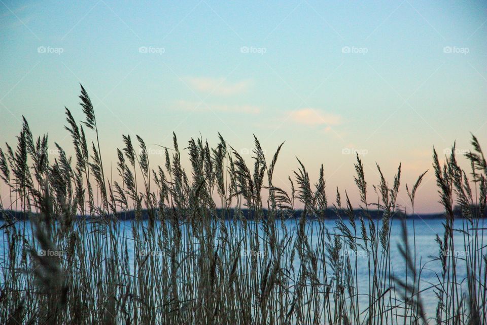 A cold day by the sea