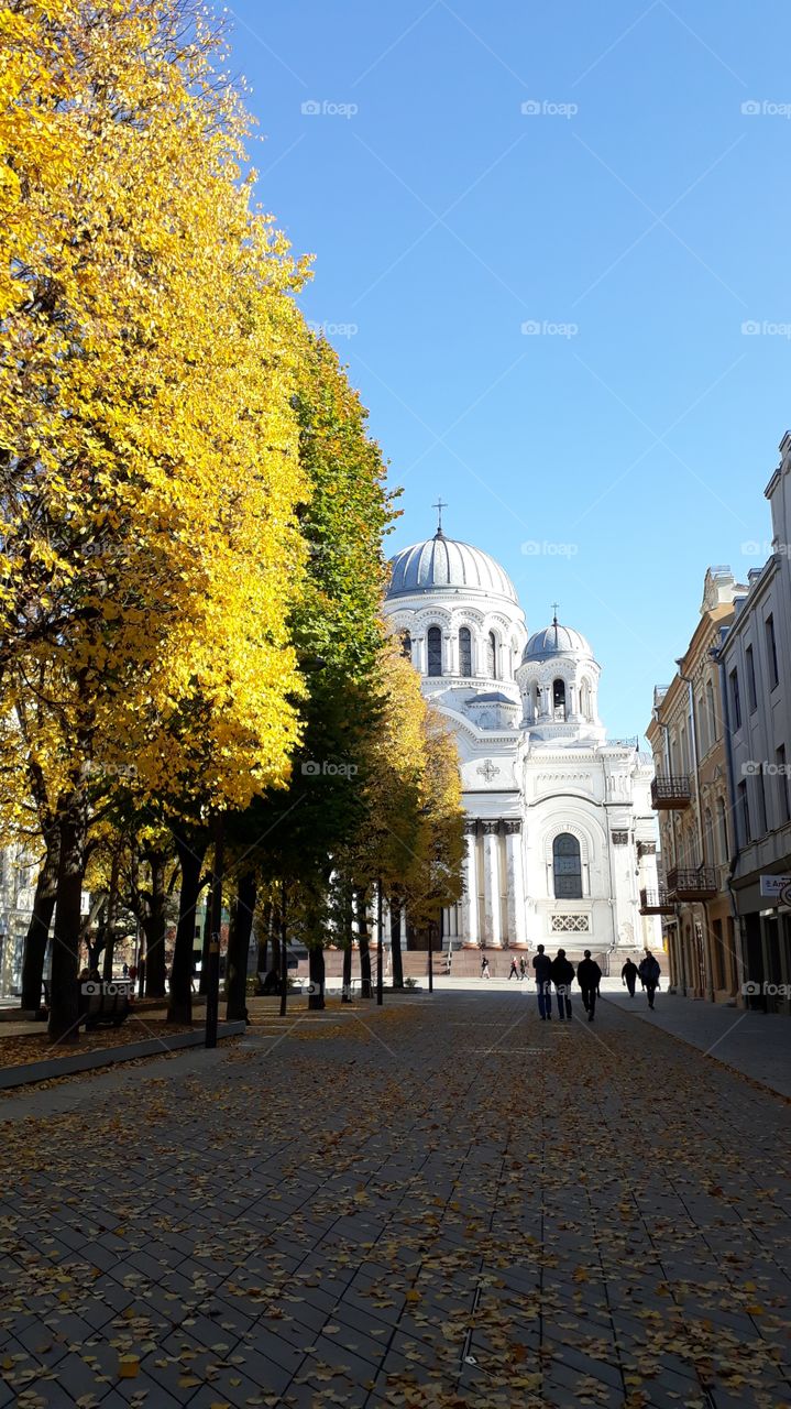 autumn in Kaunas