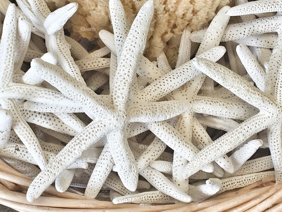 Basket of white starfish and natural sponges for sale to tourists in a gift shop.