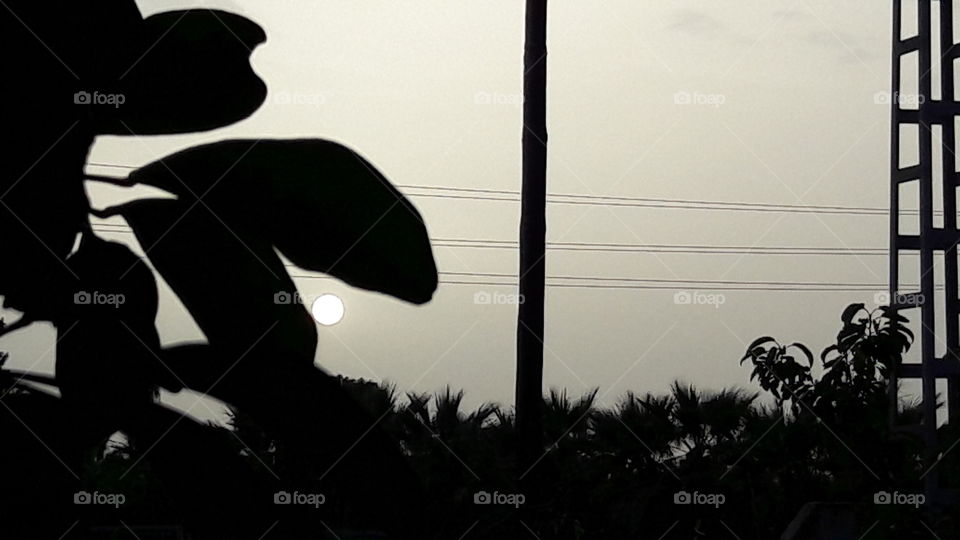 Silhouette, People, Backlit, Monochrome, Sunset