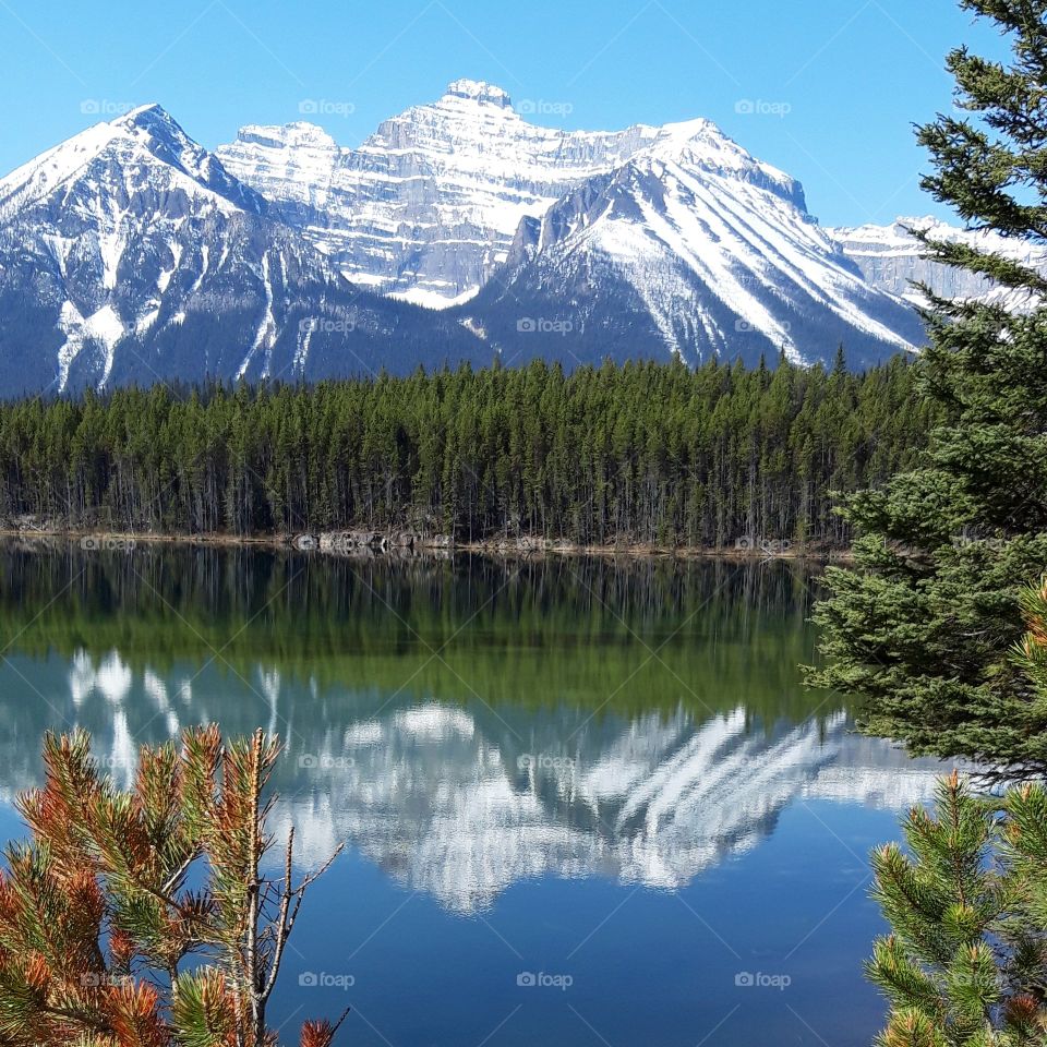 reflection in a lake in British columbia