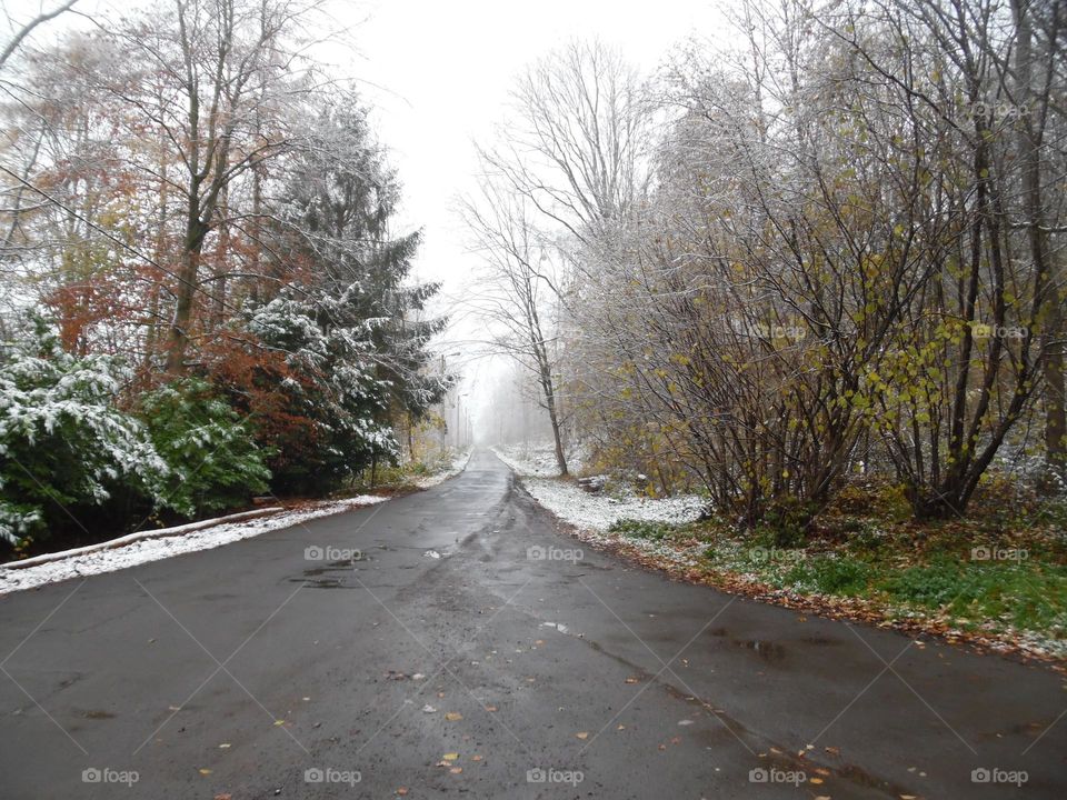 Bois de la Chapelle , Houdeng