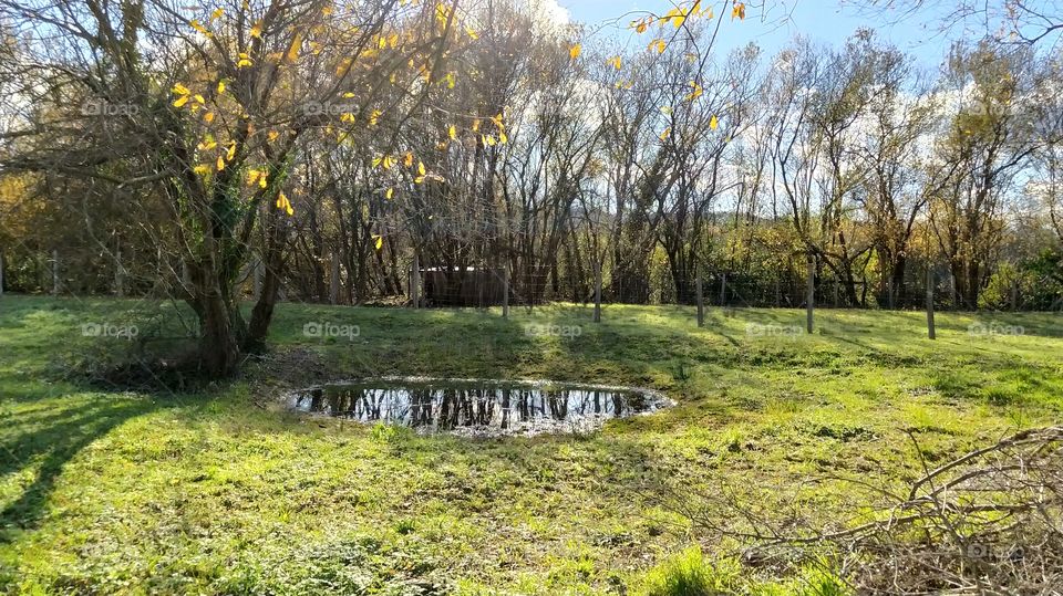 Un día cualquiera en las marismas y lagunas