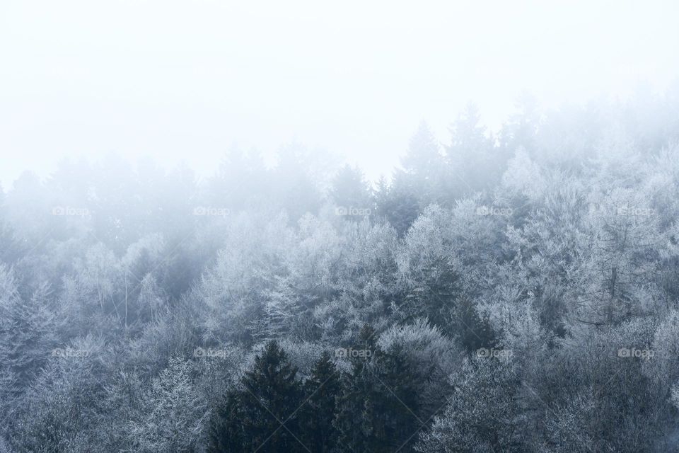 Landscape photo of nature in mountains during winter season and snow 