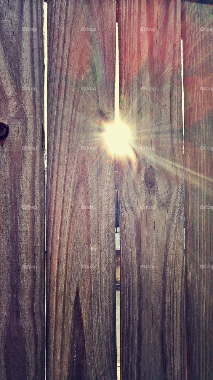 Sunlight peeking through a fence