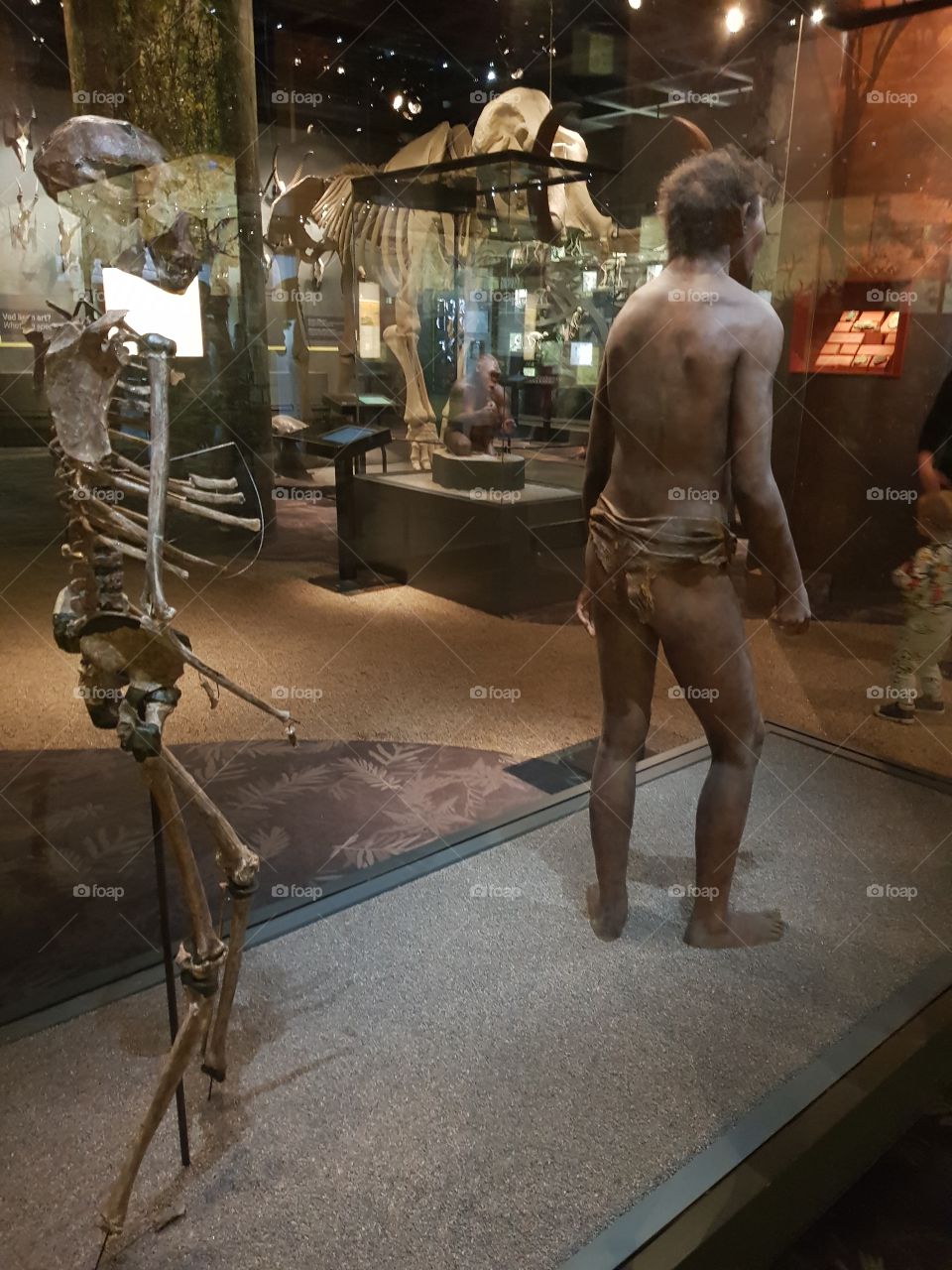 Museum Human