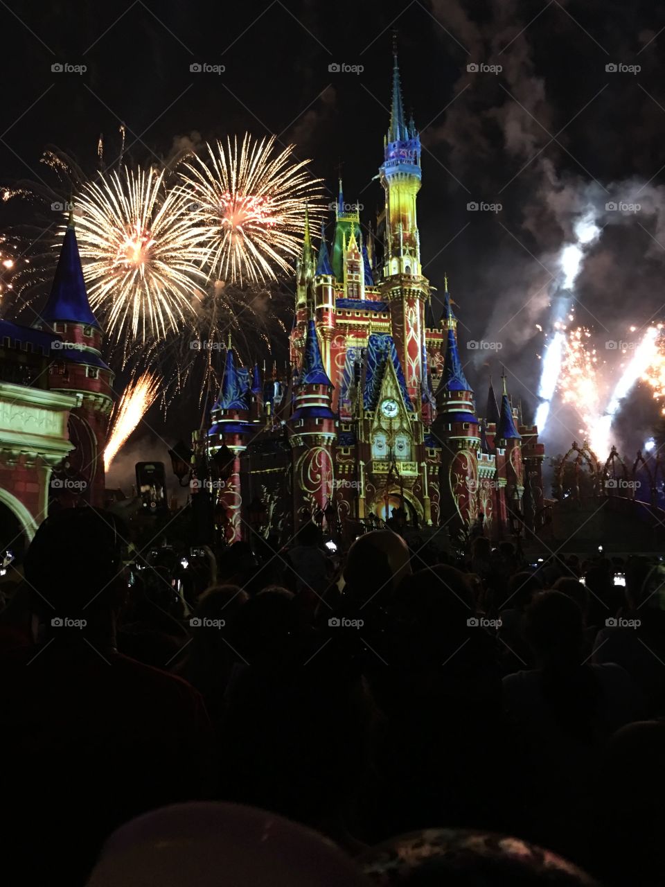 Disney Magic Kingdom Fireworks 