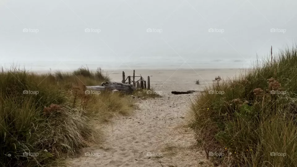 Water, Landscape, Beach, Sea, No Person
