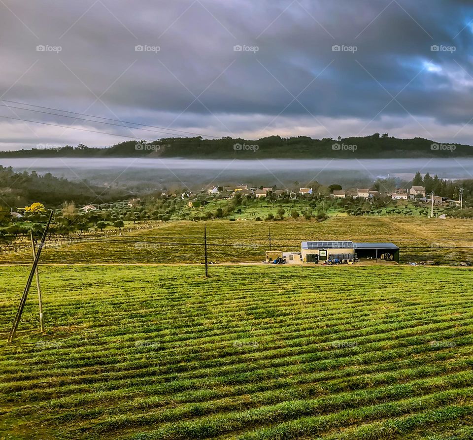 Rural scene of a tilled field leading to tree covered hills amid misty skies in the morning 