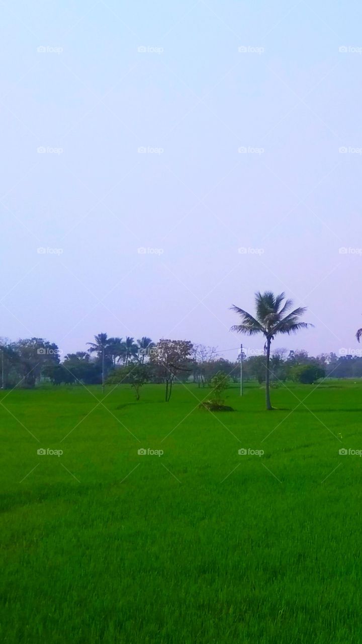 natural beauty can't explain