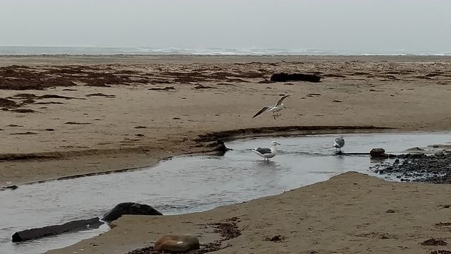 Water, Beach, Sea, Sand, Ocean