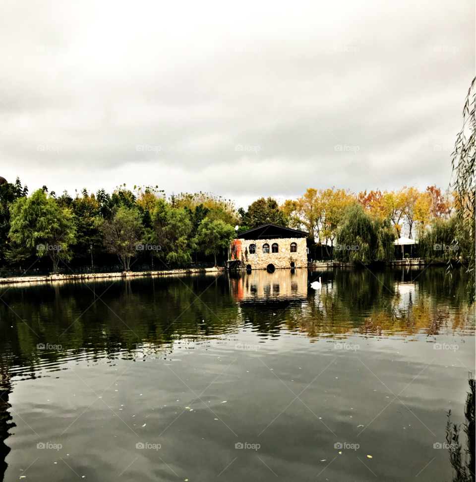 Reflection of The Lake