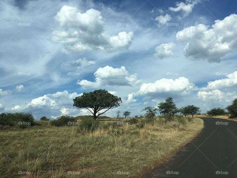 Krugersdorp Game Reserve