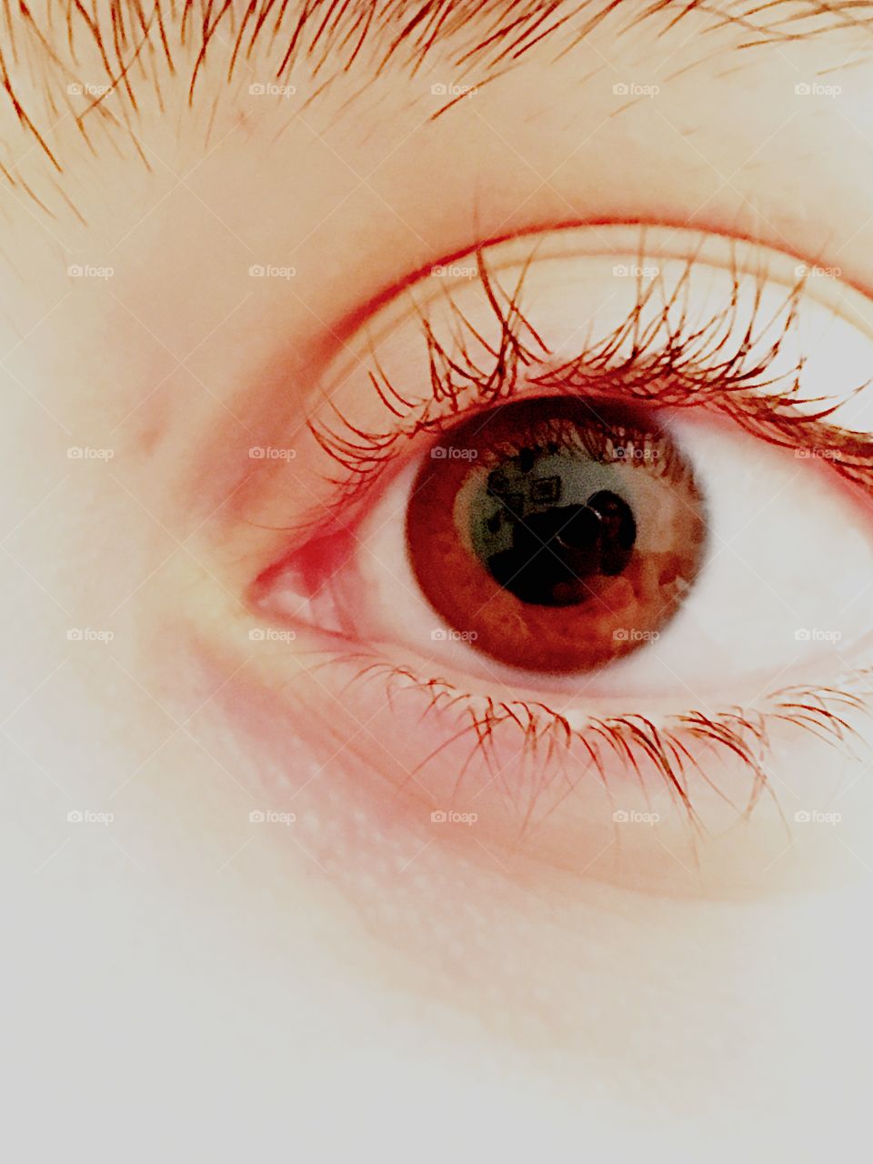 Brown eyes II 