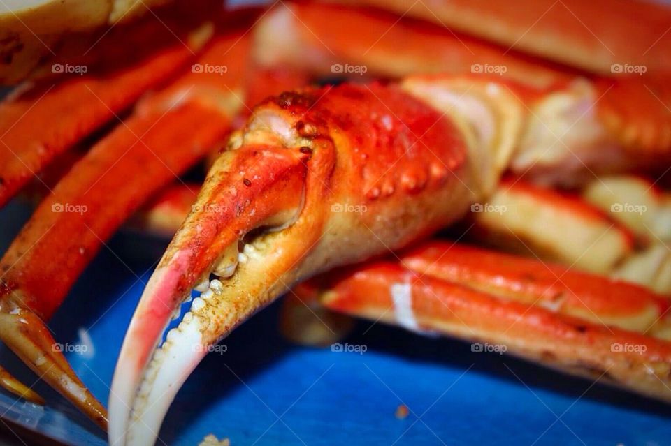 Crab Claw