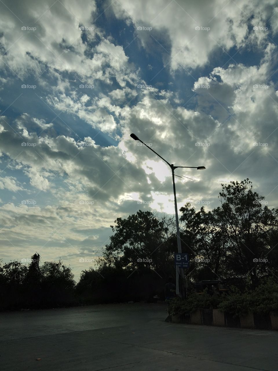 No Person, Landscape, Light, Sky, Tree