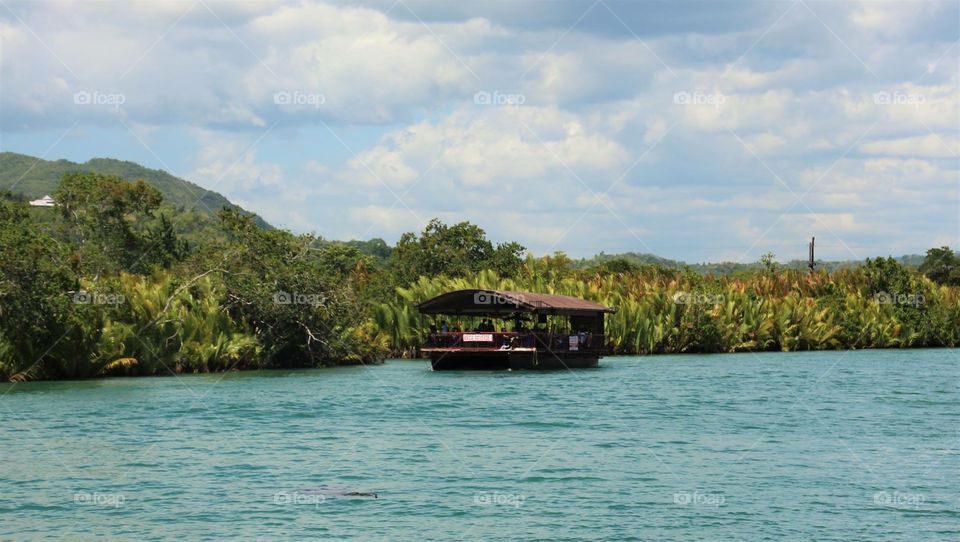 Water, Travel, Tree, Tropical, Island