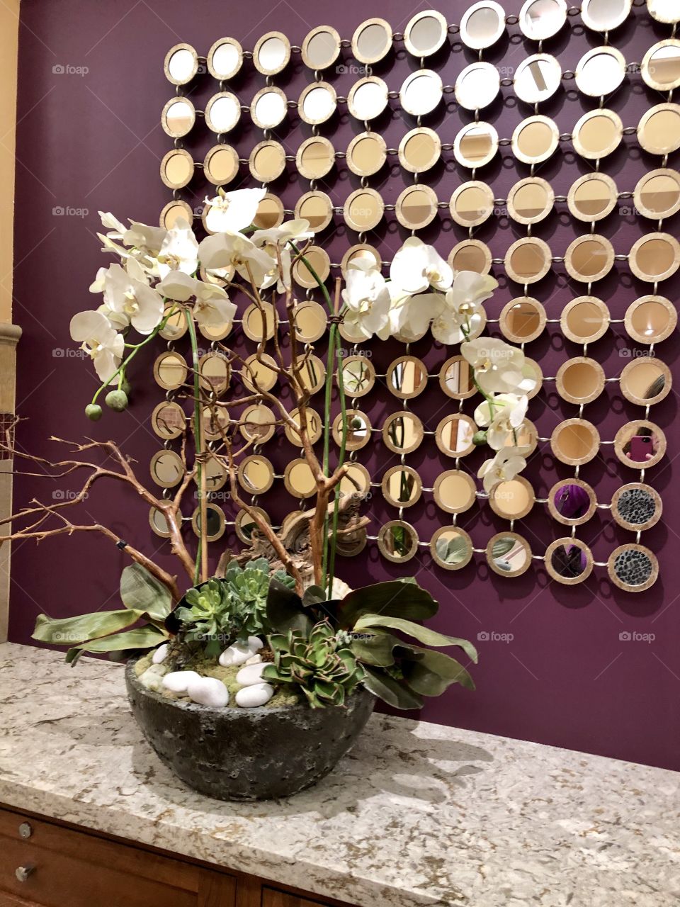 Potted orchids in front of plum wall with mirrored circles.
