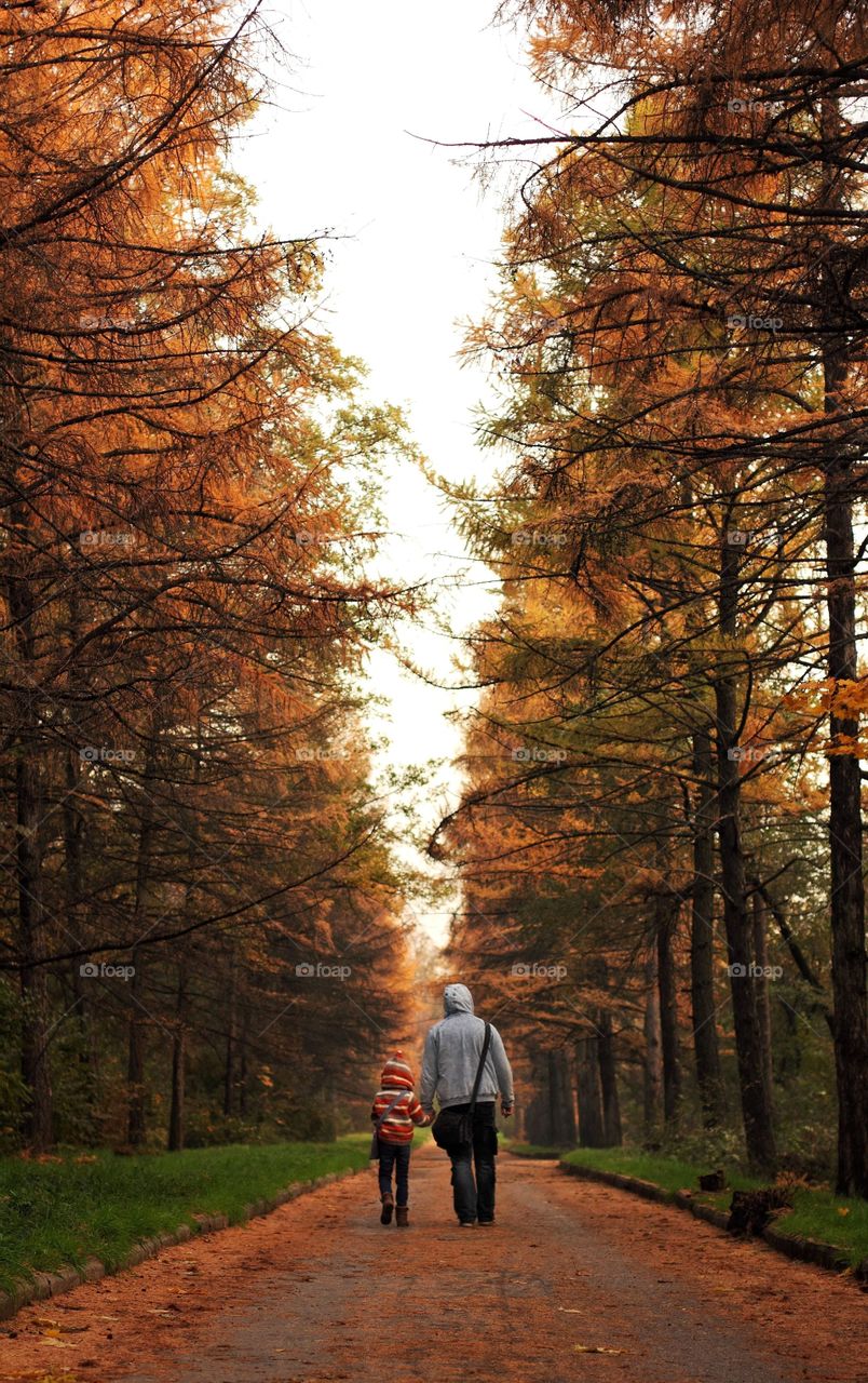 Dad and daughter are walking along the autumn pine alley