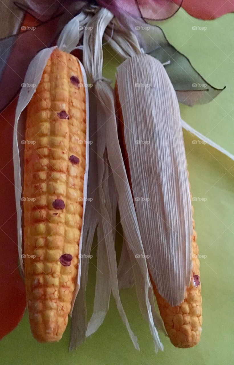 Corn cobs Halloween Season
