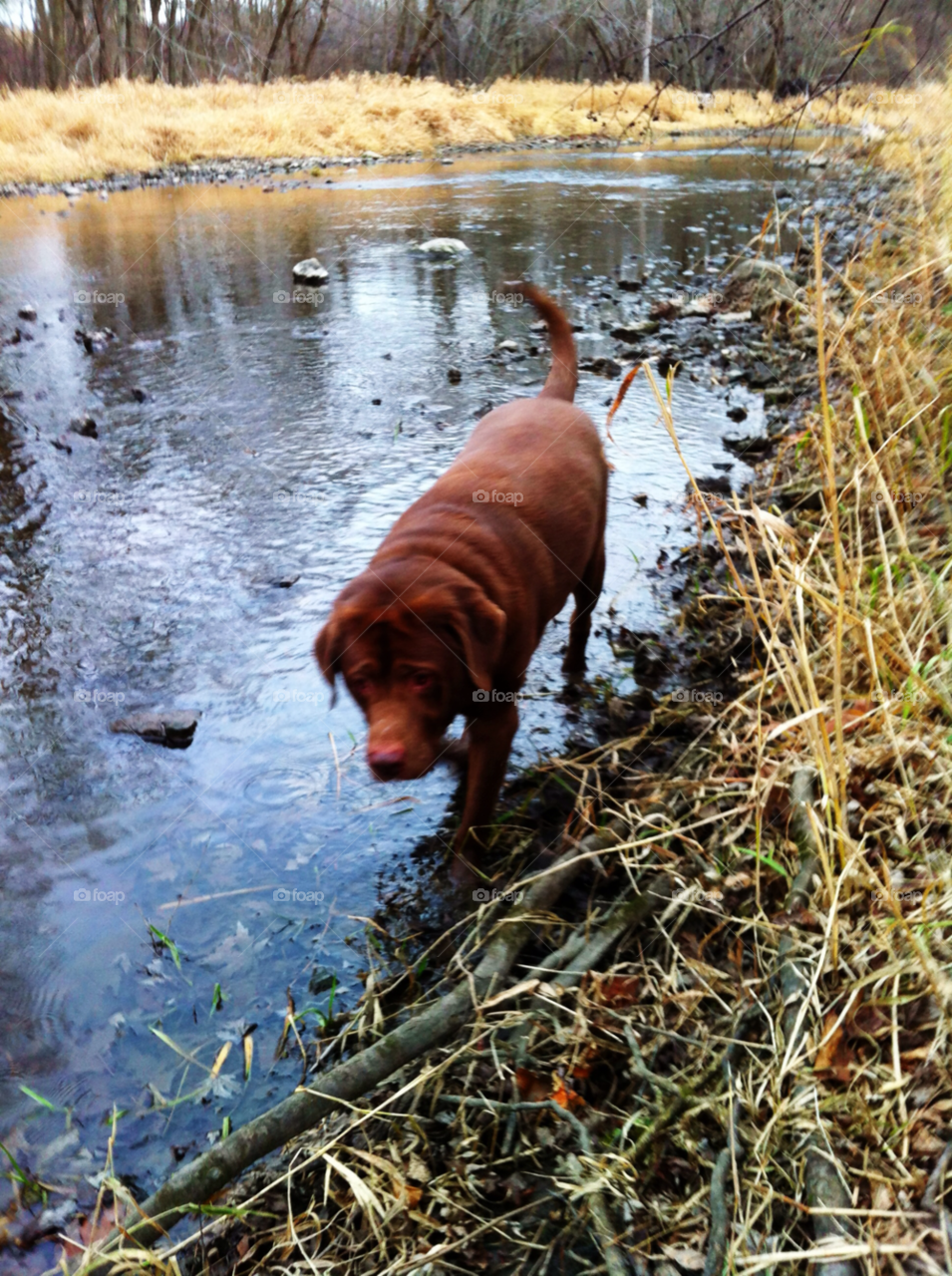 river fishing oak creek by doug414