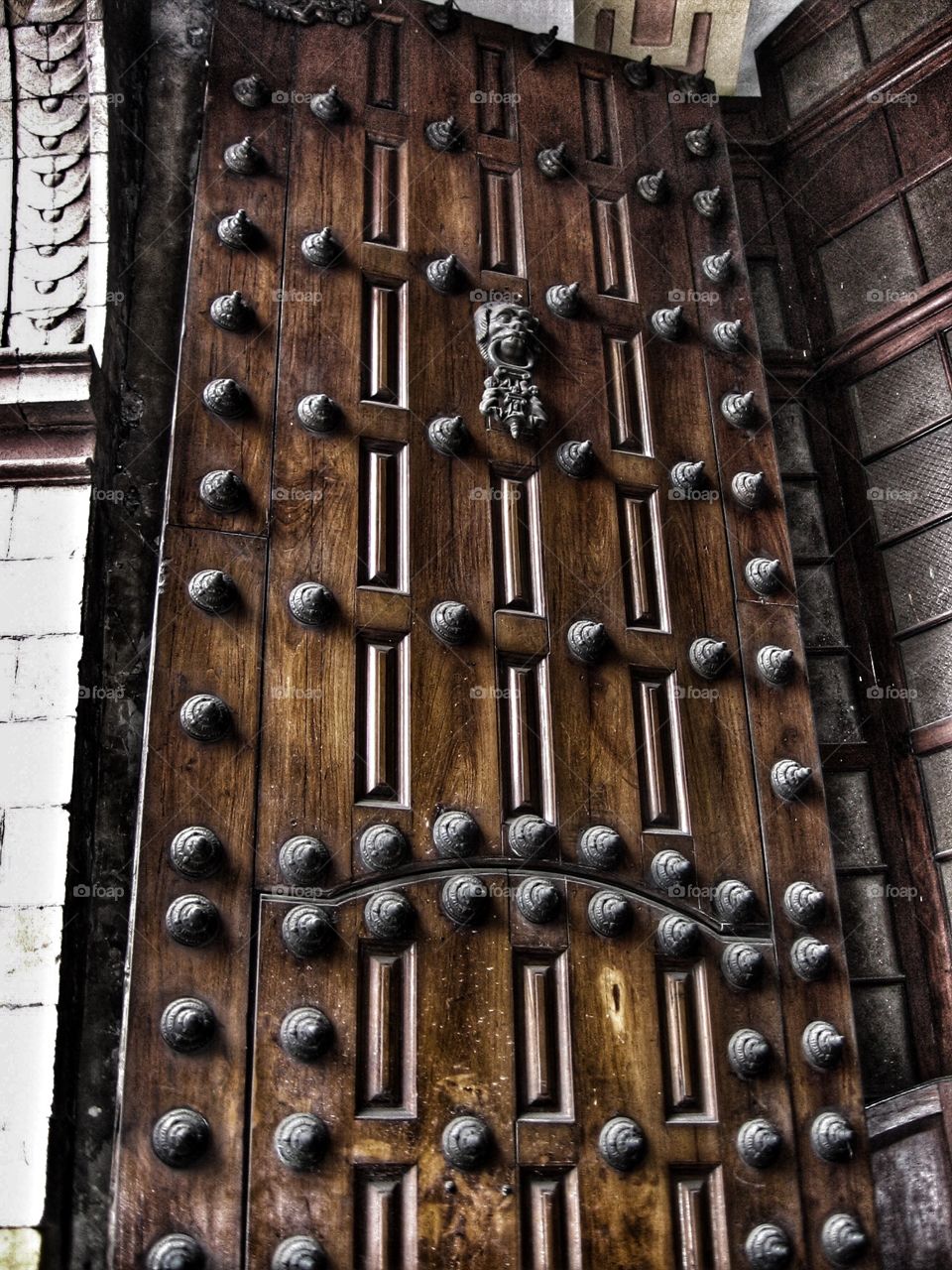 Wooden Door