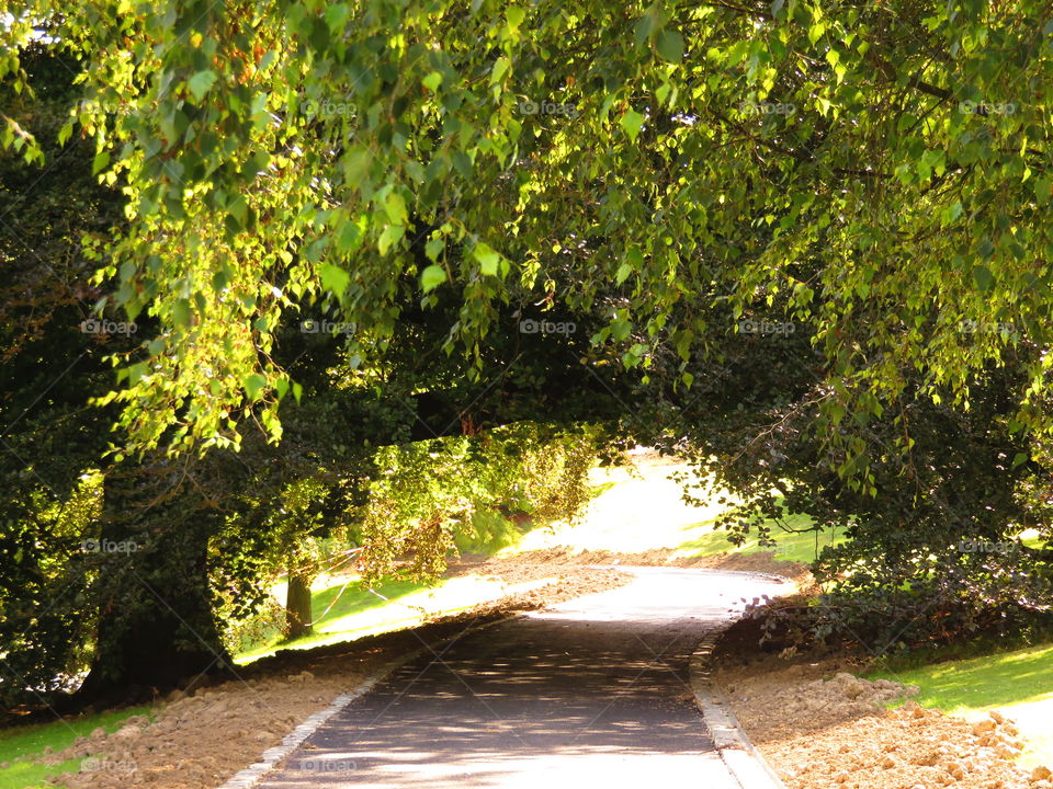 green arch